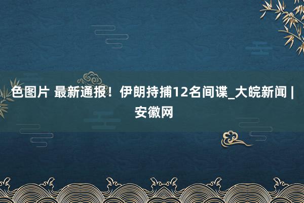 色图片 最新通报！伊朗持捕12名间谍_大皖新闻 | 安徽网