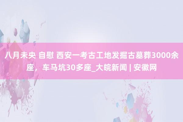 八月未央 自慰 西安一考古工地发掘古墓葬3000余座，车马坑30多座_大皖新闻 | 安徽网