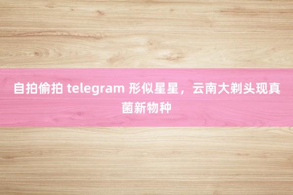 自拍偷拍 telegram 形似星星，云南大剃头现真菌新物种