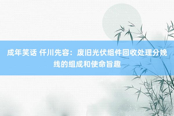 成年笑话 仟川先容：废旧光伏组件回收处理分娩线的组成和使命旨趣